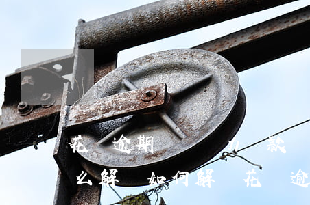 花唄逾期暫時無力還款應(yīng)該怎么解決，如何解決花唄逾期無力還款的問題？
